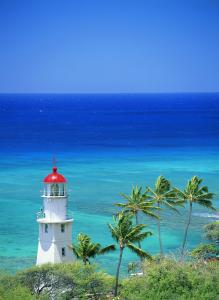 ӡȶس̨ʩϿף ǿ